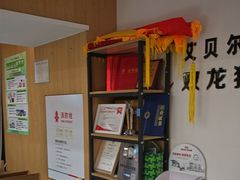 -艾贝尔宠物医院·24H转诊中心·肿瘤猫专科(江宁双龙店)