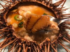 黄海胆-小船渔村•大连菜•大连焖鱼(黄河路店)