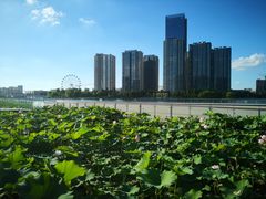 -南山湖公园