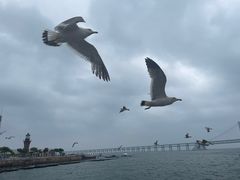 -星海广场
