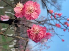 -七桥瓮公园