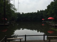 IMG_0241-茂德公草堂