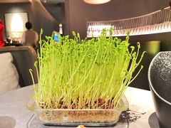 -罗勒家·养生火锅· Bistro(大望路店)
