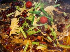 -老板恋上鱼(恒隆广场店)