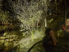 -深业半汤御泉庄温泉