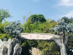 -王顺山国家森林公园