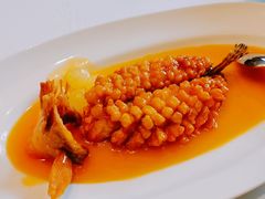 松鼠桂鱼-福1088