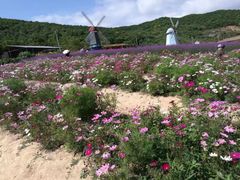-东海半边山旅游度假区