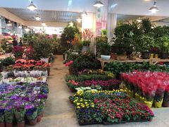 -双季花艺园艺市场(浦东店)