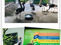 -天津市动物园