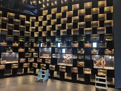 -太平洋海底世界