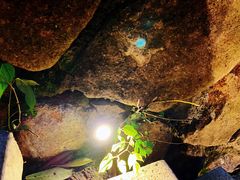 -浙江安吉JW万豪酒店·万豪中餐厅