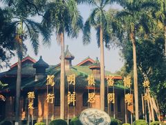 -中山大学学者灵芝(园南路店)