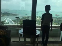 -新加坡丽思卡尔顿美年酒店