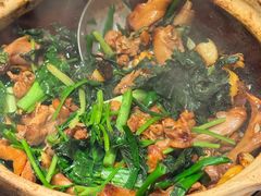 紫苏焖乳鸽-大鸽饭(岗顶店)
