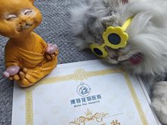 -博特宠物医院24h犬猫全科.骨科·异宠