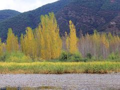 -泸沽湖国家级风景名胜区走婚桥