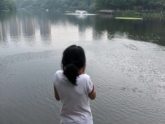 -重庆彩云湖湿地公园