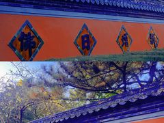 -潭柘寺景区