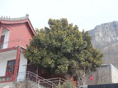 -青檀寺景区