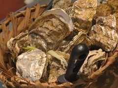 -新鞑烤羊腿(康平路店)