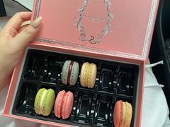 -DORABELLA朵娜贝拉(武林银泰店)
