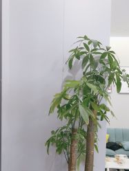 -苗方清颜专业祛痘·皮肤管理