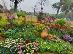 -东莞植物园