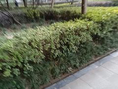 -巢爷老味(东方红店)