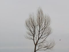 -撒拉人家.酸菜牦牛肉火锅