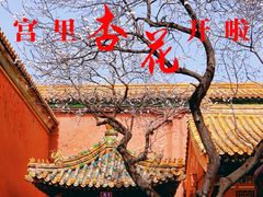 -故宫博物院(故宫)