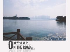 -暨阳湖生态园