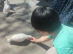 -天津妈祖文化园