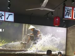 -后湖小院·乡野田园菜