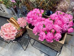 -植物学家的女儿(北马道巷店)