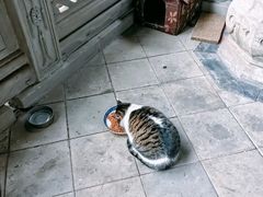 -关岳庙