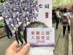 -嘉定紫藤园