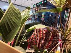 -椰夫人·养生椰子鸡(黄埔时代城店)