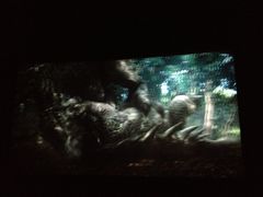 -星美国际影商城(虹口店)