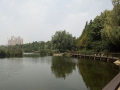 -前关湿地公园