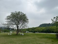 -鲁镇