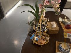 -施奈儿.洗头頭療.按摩SPA.采耳(上梅林店)