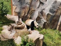 -青藏高原野生动物园