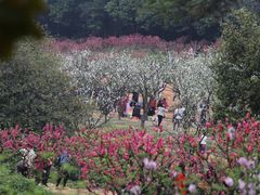 -南国桃园旅游度假区