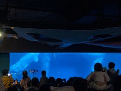 -海合安武汉极地海洋公园