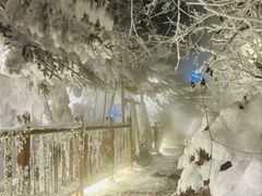 -汉拿山温泉度假酒店