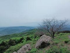 -北京鹫峰国家森林公园