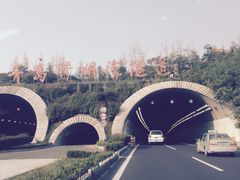 -胶州湾海底隧道