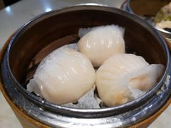 虾饺-糖朝(尖沙咀店)