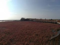 -红海滩国家风景廊道